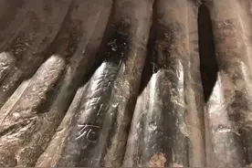 “开者即死”！隋代9岁女孩墓刻有诅咒，其中盛放230多件珍宝图片