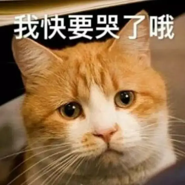 欢迎来到“快乐制造机”现场！寒假收服“熊孩子”，有这篇攻略就够了