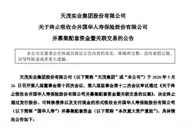 第六家A股上市保险公司终究还是没来！天茂集团终止吸收合并国华人寿图片