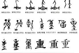 汉字探源：重字本义不是分量大而是莲藕图片