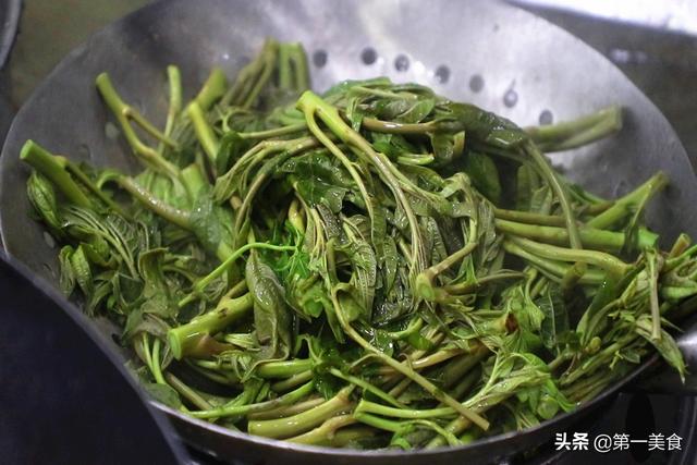 香椿这样保存，一年四季都是绿油油的样子，鲜香脆嫩不变味
