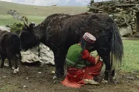 巴基斯坦这个地区的居民来我国无需签证，对中国充满感激图片