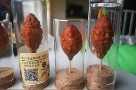 橄榄核的各种题材图片