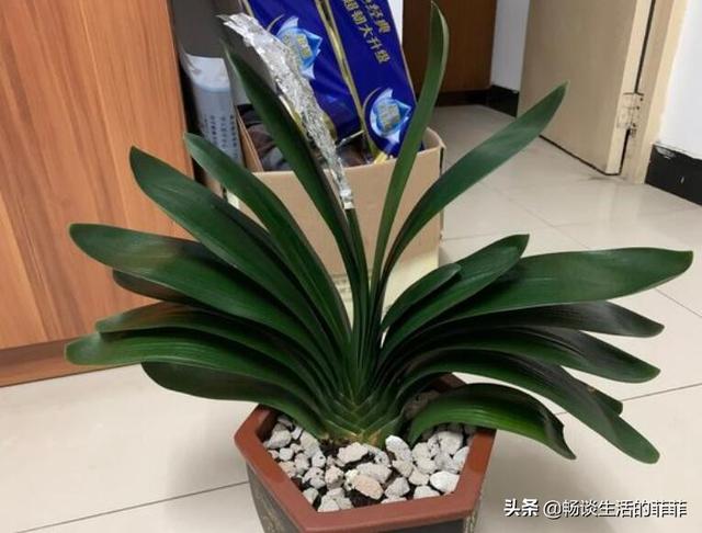 魅族应用商店