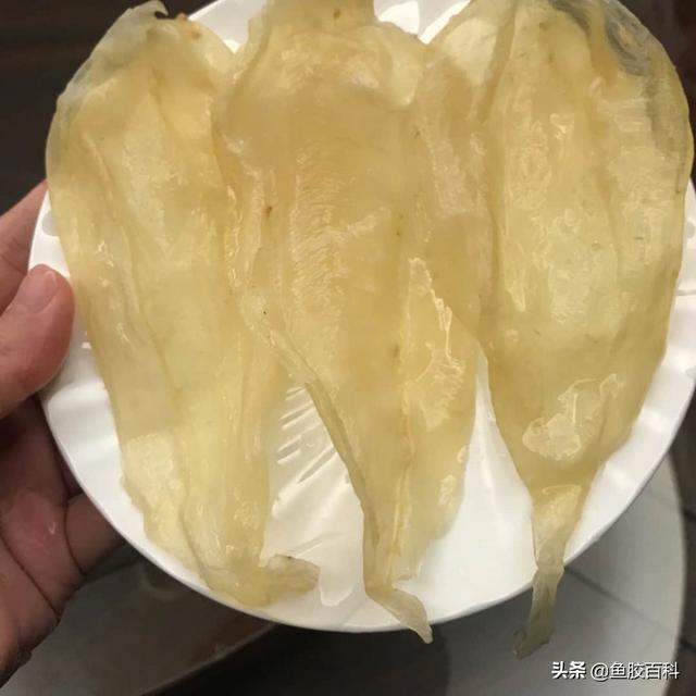 为什么有些鱼胶是一条条的 为什么有些鱼胶是一片片的