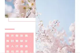 3月24日中国·宁陵第五届桃花节开幕！花香倾城 只待佳人....图片
