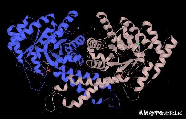 氨基酸的化学反应
