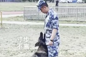 警犬对训导员的喜爱竟像开启了磁铁模式，简直亲密无间图片