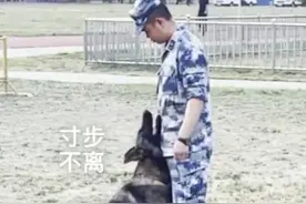 警犬对训导员的喜爱竟像开启了磁铁模式，简直亲密无间图片