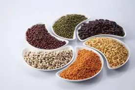 豆制品营养价值高要吃对，分享十几种详细的豆类食物以及不同做法图片