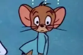 导航在手，天下我有？图片