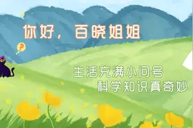 想问百晓姐姐：铅笔为什么能写字呢？图片