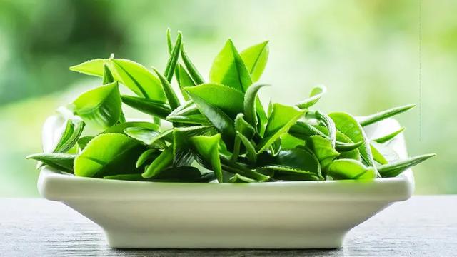 丁妈深点评｜PHYTO丝漾防脱育发精华，能不能长出头发？