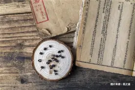 黑果枸杞为什么被称为“昆仑仙果”？这段古老神话故事解答了缘由图片