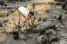 3700年前的迦南宫殿为何被遗弃？考古学家终于找到了原因图片