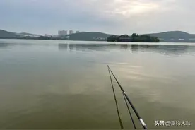 鱼竿越长钓获越多？10米长竿用一次就要扔，钓友：这根本不是钓鱼图片