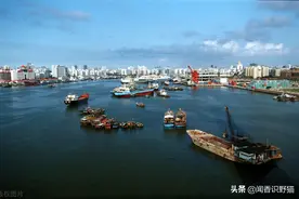 湛江大老板陈华，靠300亿身家成为湛江首富，钱是怎么赚来的？图片