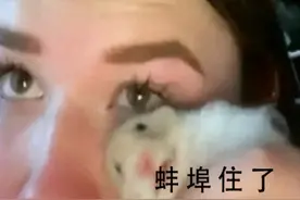 腾讯代理都救不过来？全球收入第一网游，收入百亿国内却没人玩？图片