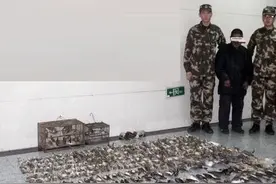 唐山一村民捕鸟近700只供自己吃，涉嫌违法被刑拘！图片