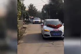 狗狗狂奔十几公里追婚车送女主人出嫁 网友：看哭了视频封面