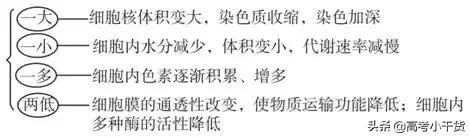 高考生物：考前必记规律、方法和结论(建议掌握）