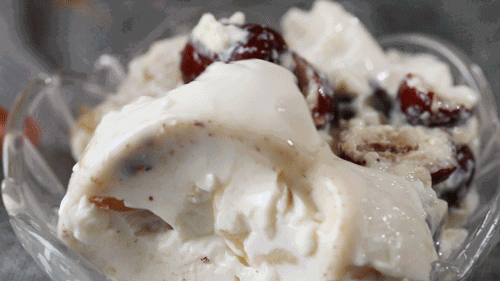 花胶牛奶冻的制作视 2026年花胶牛奶冻的制作视频讲解