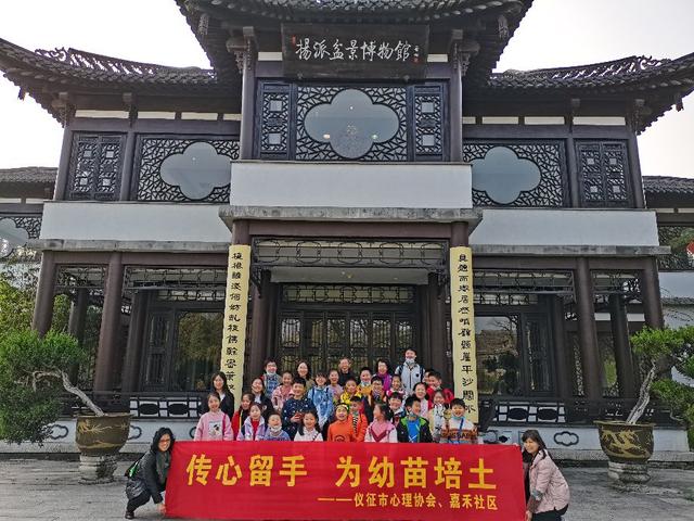 小树苗要调教，盆景大师教我一寸三弯调教小树苗