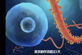 冠状病毒在空气中能活多久，怎样杀死新型冠状病毒视频封面