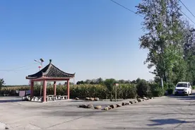 河南省美丽乡村——河东张庄村图片