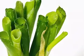 中医治疗MDS如何补髓/补血？图片