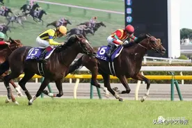 在日中国男子赛马获利18亿，被征税10亿图片