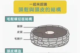 洗头是要洗发还是洗头皮？什么步骤才对？图片