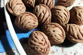 信不信由你！它就是这样亮图片