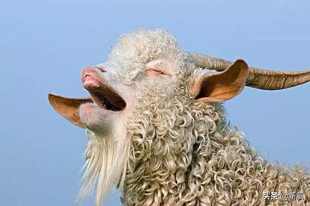 网红服装店的面料都是“包装后”的劣质货？你到底被坑了多少钱！