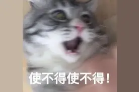 紧急！厦门一中年男子悬崖上吞药欲轻生，救援队组“人梯” 火速营救图片