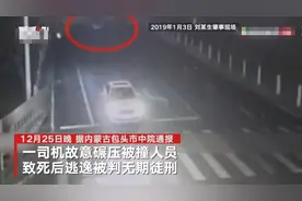 故意碾压被撞人员致死后逃逸 内蒙古一司机犯故意杀人罪被判无期徒刑图片