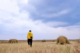 中年已过，学会沉默图片