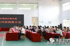 桥圩镇举办乡村振兴招商推介会图片
