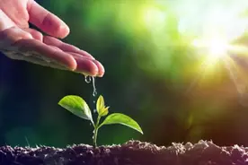 语文泰斗崔峦教授要来临沂啦！“童心向党”手抄报征稿火热进行中图片