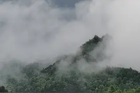 「BL剧透」《我有一个秘密》by西西特：痛觉异于常人是种什么体验图片
