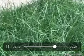 收房才半年，铜川一住宅楼底部出现10厘米宽裂缝！太吓人图片