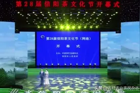 第28届信阳茶文化节（网络）开幕图片