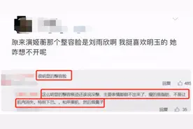 刘雨欣晒和女儿合照，同款脸型、下巴如复制，力破整容传闻图片