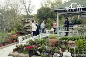 电视剧《老闺蜜》第1-3集剧情介绍：红姐毛遂自荐做服务员图片