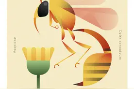 五花八门：小清新的昆虫插画，拿走不谢图片
