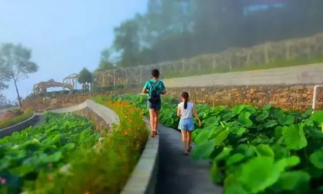 白河县地图 陕西省安康市白河县地图(图7) 白河县地图 陕西省安康市白河县地图(图7)