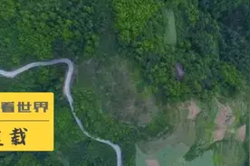 详解汉中盆地的地缘结构，及曹操攻取汉中的神奇历程图片