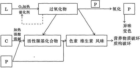 阚建全食品化学2课后习题答案与笔记下载