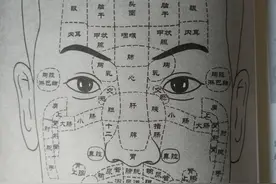 面部反射区一览图片