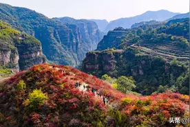 南太行的分界线-林州太行大峡谷图片